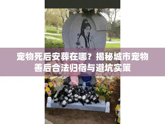 宠物死后安葬在哪？揭秘城市宠物善后合法归宿与避坑实策
