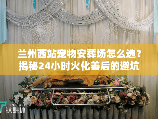 兰州西站宠物安葬场怎么选？揭秘24小时火化善后的避坑细节