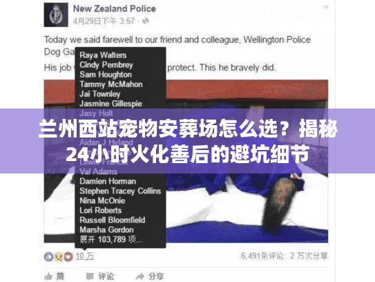 兰州西站宠物安葬场怎么选？揭秘24小时火化善后的避坑细节