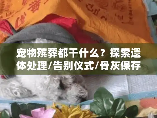 宠物殡葬都干什么？探索遗体处理/告别仪式/骨灰保存全流程