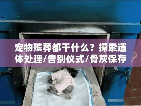 宠物殡葬都干什么？探索遗体处理/告别仪式/骨灰保存全流程
