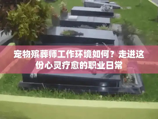 宠物殡葬师工作环境如何？走进这份心灵疗愈的职业日常