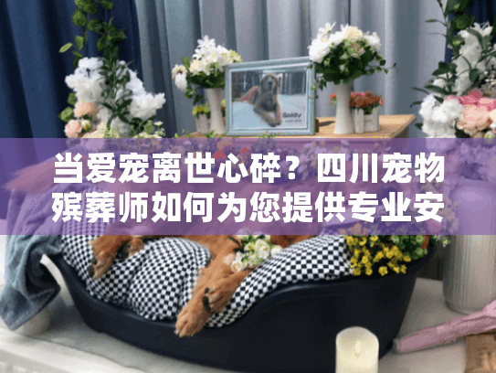 当爱宠离世心碎？四川宠物殡葬师如何为您提供专业安葬服务？