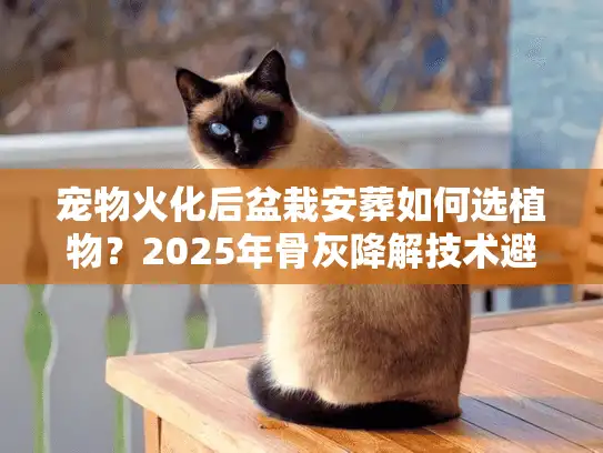 宠物火化后盆栽安葬如何选植物？2025年骨灰降解技术避坑全解析