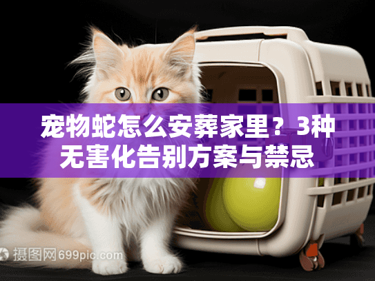 宠物蛇怎么安葬家里？3种无害化告别方案与禁忌