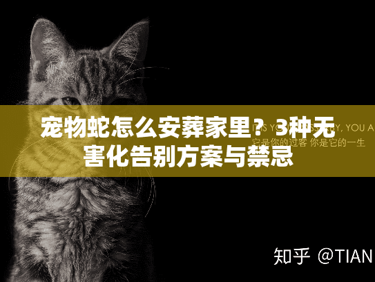 宠物蛇怎么安葬家里？3种无害化告别方案与禁忌