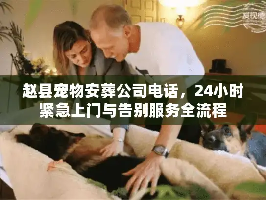 赵县宠物安葬公司电话，24小时紧急上门与告别服务全流程