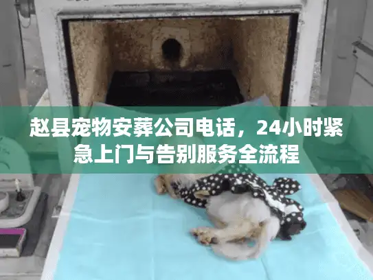 赵县宠物安葬公司电话，24小时紧急上门与告别服务全流程