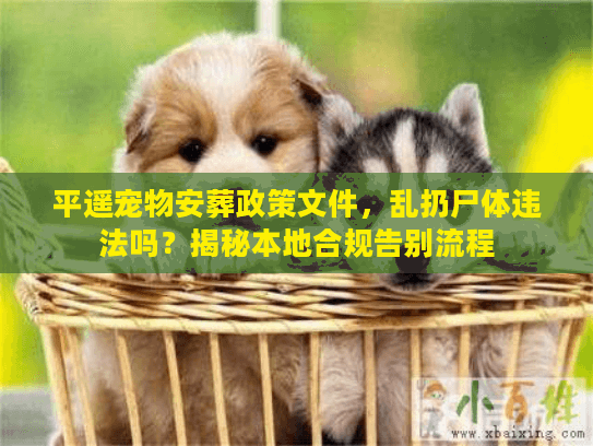 平遥宠物安葬政策文件，乱扔尸体违法吗？揭秘本地合规告别流程