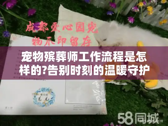 宠物殡葬师工作流程是怎样的?告别时刻的温暖守护