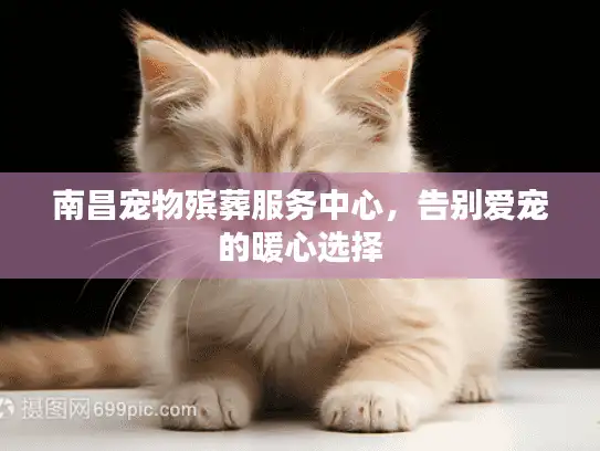 南昌宠物殡葬服务中心，告别爱宠的暖心选择