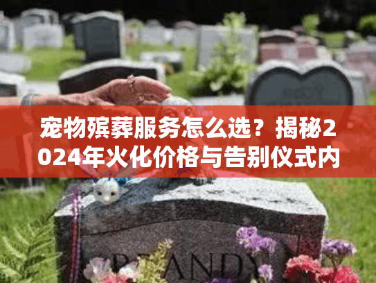 宠物殡葬服务怎么选？揭秘2024年火化价格与告别仪式内幕