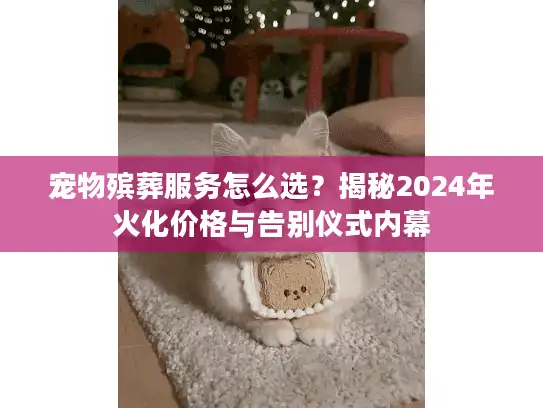 宠物殡葬服务怎么选？揭秘2024年火化价格与告别仪式内幕