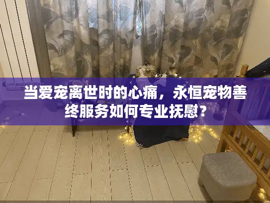 当爱宠离世时的心痛，永恒宠物善终服务如何专业抚慰？
