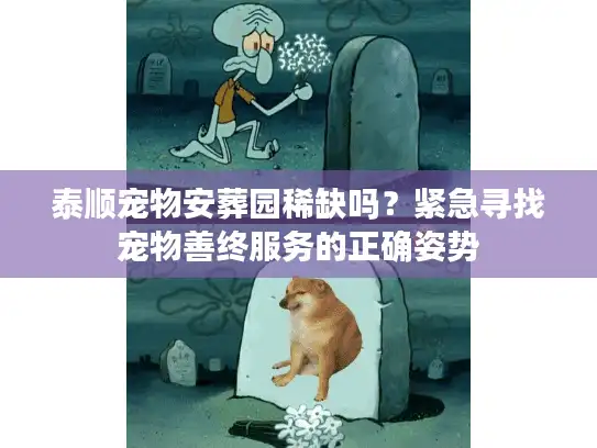 泰顺宠物安葬园稀缺吗？紧急寻找宠物善终服务的正确姿势