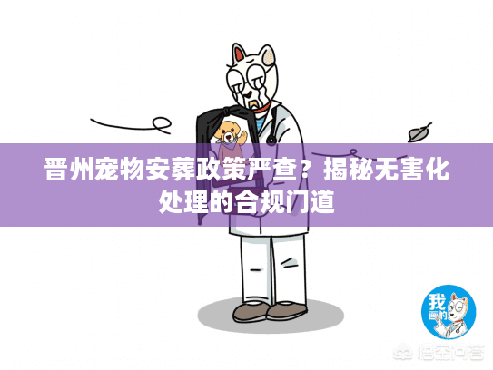 晋州宠物安葬政策严查?揭秘无害化处理的合规门道 晋州宠物安葬政策严查?揭秘无害化处理的合规门道