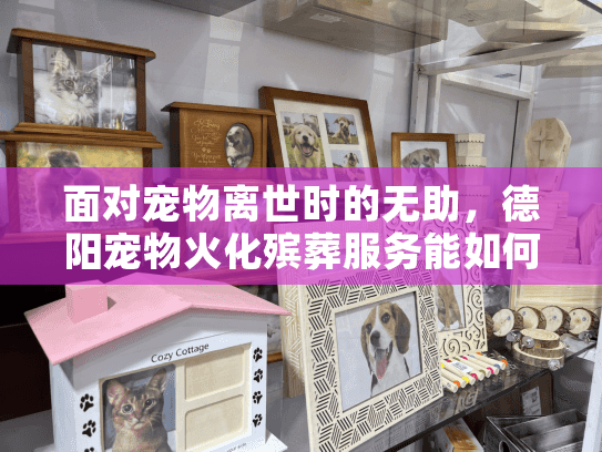 面对宠物离世时的无助,德阳宠物火化殡葬服务能如何缓解悲伤? 面对宠物离世时的无助,德阳宠物火化殡葬服务能如何缓解悲伤?