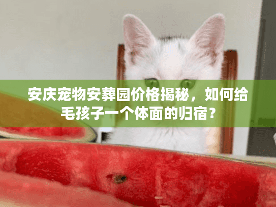 安庆宠物安葬园价格揭秘,如何给毛孩子一个体面的归宿? 安庆宠物安葬园价格揭秘,如何给毛孩子一个体面的归宿?