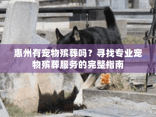 惠州有宠物殡葬吗？寻找专业宠物殡葬服务的完整指南