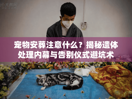 宠物安葬注意什么?揭秘遗体处理内幕与告别仪式避坑术 宠物安葬注意什么?揭秘遗体处理内幕与告别仪式避坑术