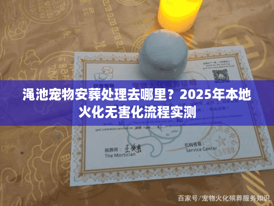 渑池宠物安葬处理去哪里？2025年本地火化无害化流程实测