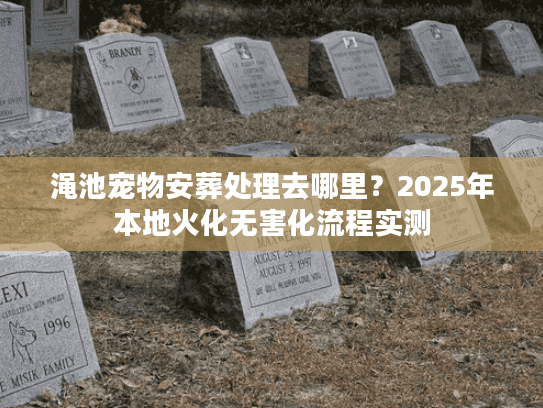 渑池宠物安葬处理去哪里？2025年本地火化无害化流程实测
