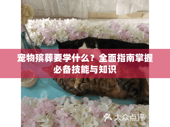 宠物殡葬要学什么？全面指南掌握必备技能与知识