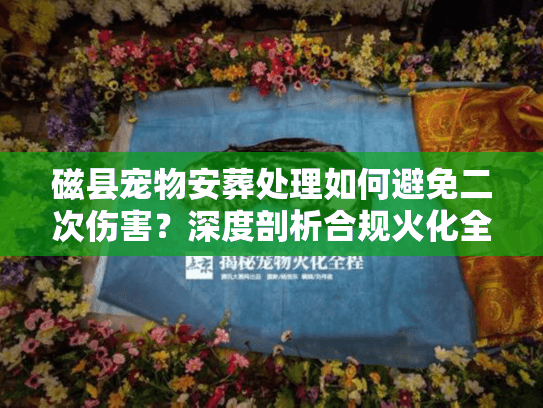 磁县宠物安葬处理如何避免二次伤害?深度剖析合规火化全流程 磁县宠物安葬处理如何避免二次伤害?深度剖析合规火化全流程