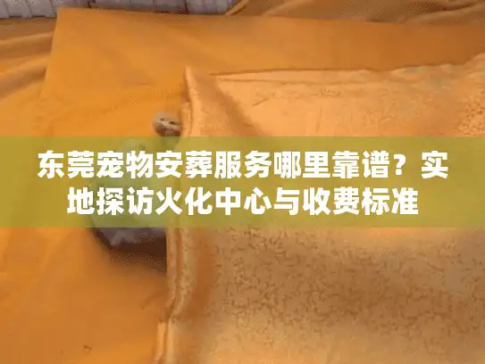 东莞宠物安葬服务哪里靠谱？实地探访火化中心与收费标准