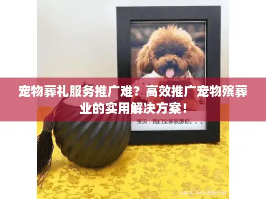 宠物葬礼服务推广难？高效推广宠物殡葬业的实用解决方案！