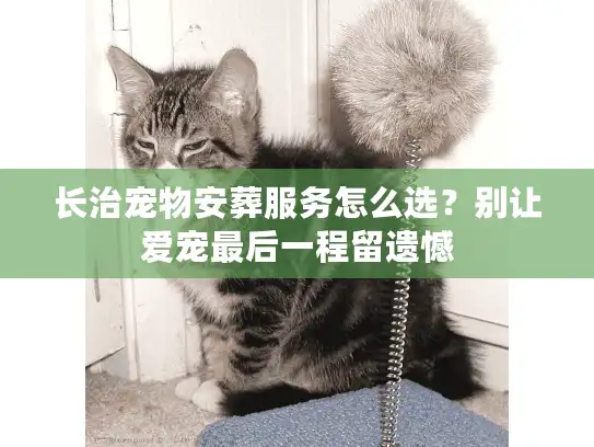 长治宠物安葬服务怎么选？别让爱宠最后一程留遗憾