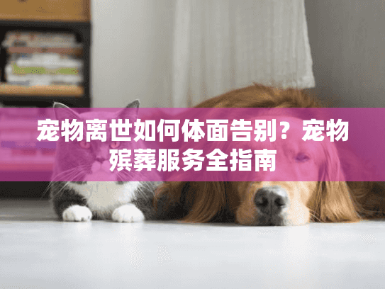 宠物离世如何体面告别?宠物殡葬服务全指南 宠物离世如何体面告别?宠物殡葬服务全指南