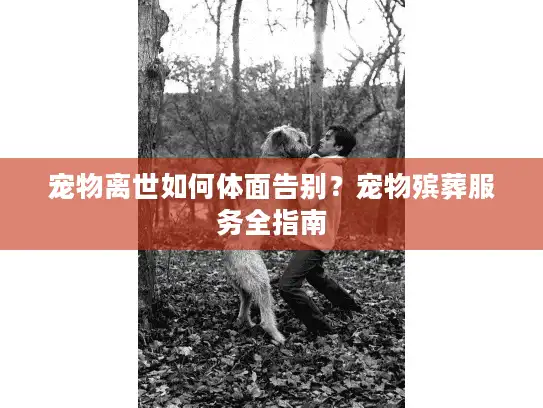 宠物离世如何体面告别?宠物殡葬服务全指南 宠物离世如何体面告别?宠物殡葬服务全指南