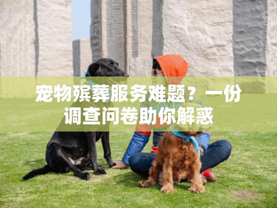 宠物殡葬服务难题？一份调查问卷助你解惑