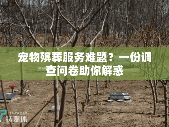 宠物殡葬服务难题？一份调查问卷助你解惑