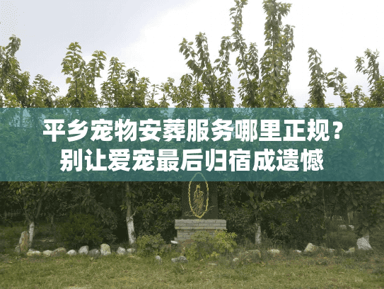 平乡宠物安葬服务哪里正规？别让爱宠最后归宿成遗憾
