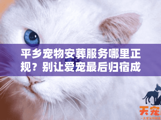 平乡宠物安葬服务哪里正规？别让爱宠最后归宿成遗憾