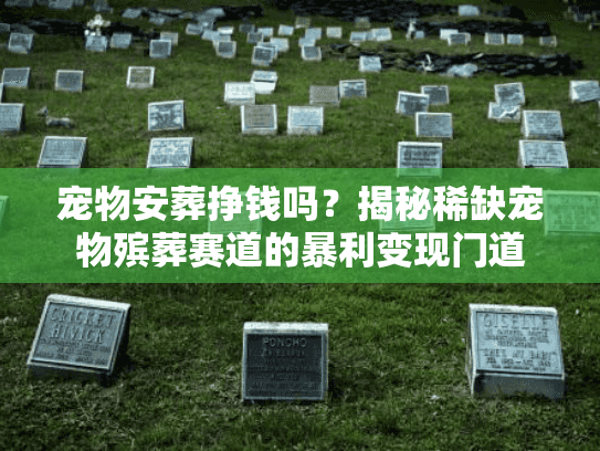 宠物安葬挣钱吗？揭秘稀缺宠物殡葬赛道的暴利变现门道
