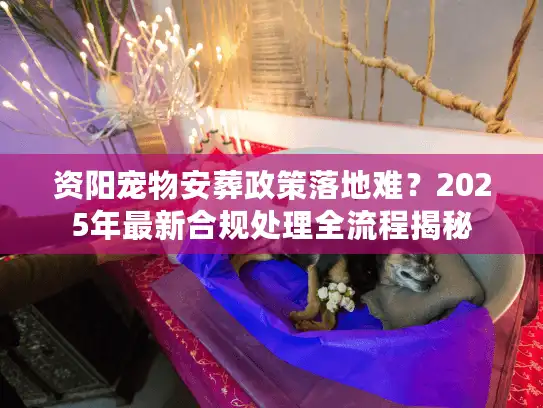 资阳宠物安葬政策落地难？2025年最新合规处理全流程揭秘