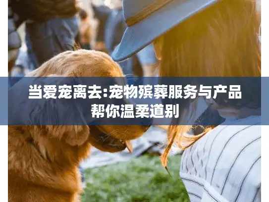 当爱宠离去:宠物殡葬服务与产品帮你温柔道别