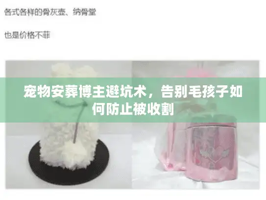 宠物安葬博主避坑术,告别毛孩子如何防止被收割 宠物安葬博主避坑术,告别毛孩子如何防止被收割