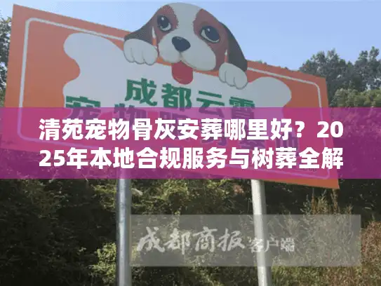 清苑宠物骨灰安葬哪里好？2025年本地合规服务与树葬全解析