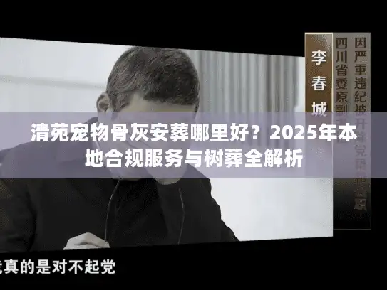 清苑宠物骨灰安葬哪里好？2025年本地合规服务与树葬全解析