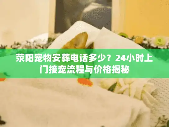 荥阳宠物安葬电话多少？24小时上门接宠流程与价格揭秘