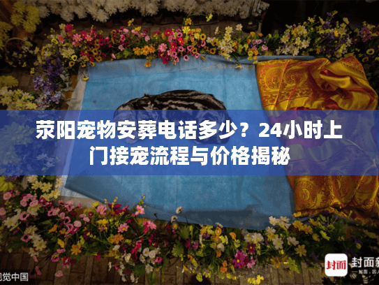 荥阳宠物安葬电话多少？24小时上门接宠流程与价格揭秘