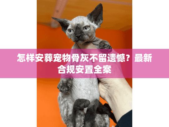 怎样安葬宠物骨灰不留遗憾？最新合规安置全案