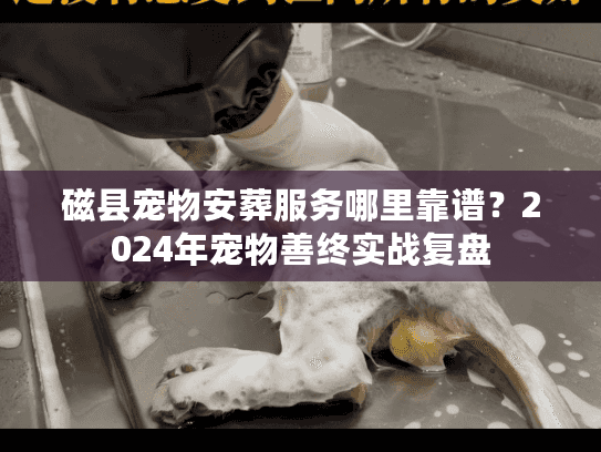 磁县宠物安葬服务哪里靠谱?2024年宠物善终实战复盘 磁县宠物安葬服务哪里靠谱?2024年宠物善终实战复盘