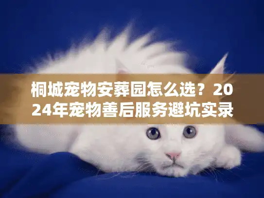 桐城宠物安葬园怎么选？2024年宠物善后服务避坑实录与价格解析