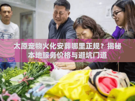 太原宠物火化安葬哪里正规？揭秘本地服务价格与避坑门道