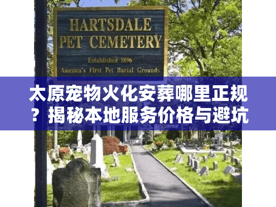 太原宠物火化安葬哪里正规？揭秘本地服务价格与避坑门道